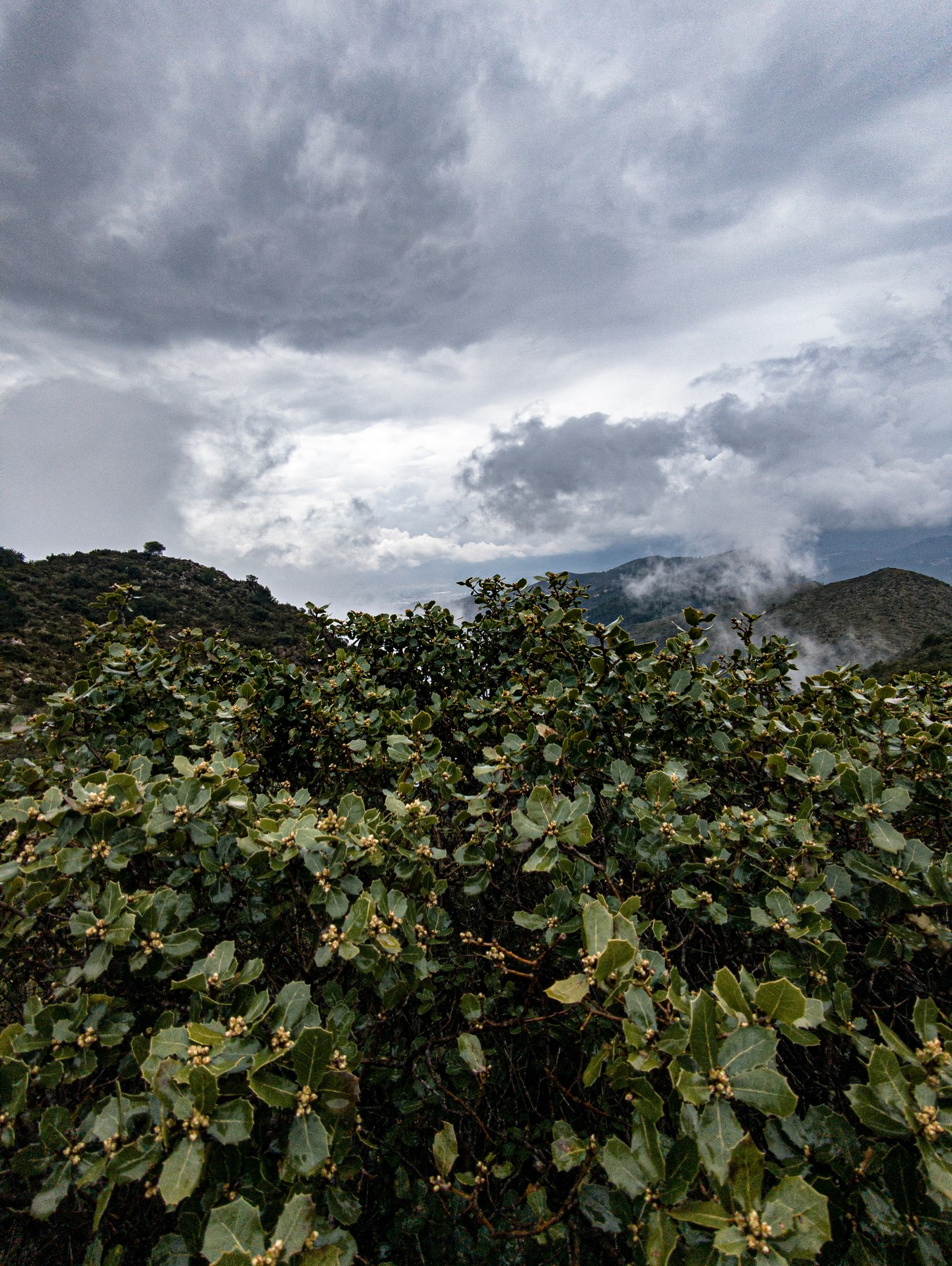 Local hiking Marxuquera